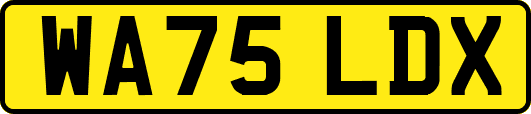 WA75LDX