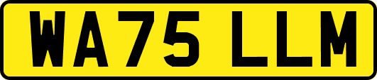 WA75LLM