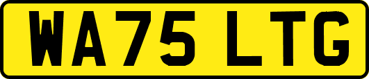 WA75LTG