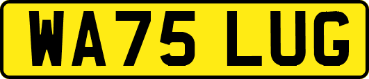 WA75LUG