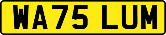 WA75LUM