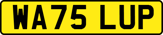 WA75LUP
