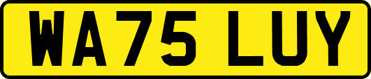 WA75LUY