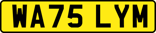 WA75LYM