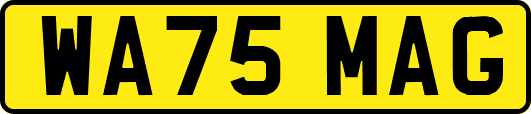 WA75MAG