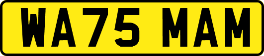 WA75MAM