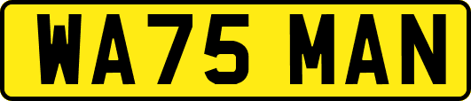 WA75MAN