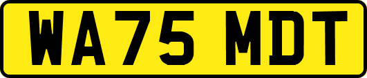 WA75MDT