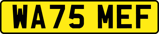 WA75MEF