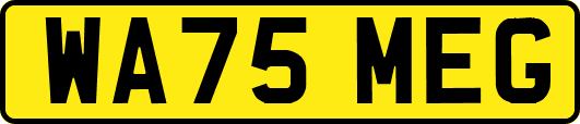 WA75MEG