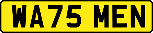 WA75MEN