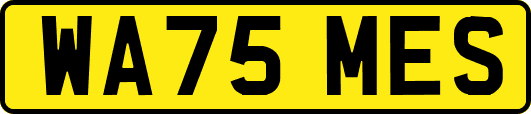 WA75MES