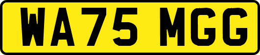 WA75MGG