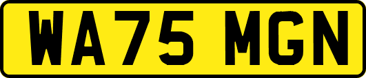 WA75MGN