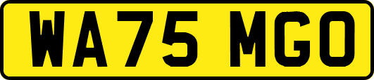 WA75MGO