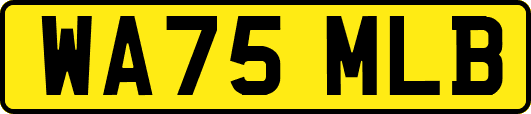 WA75MLB