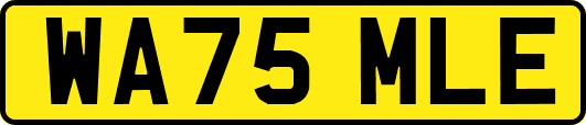 WA75MLE