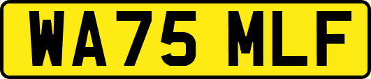 WA75MLF
