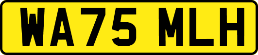 WA75MLH