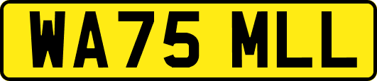 WA75MLL