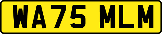 WA75MLM