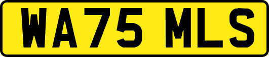 WA75MLS