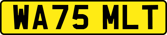 WA75MLT