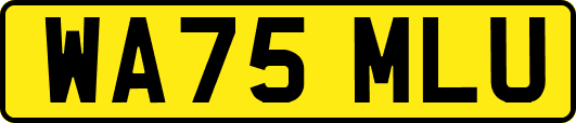 WA75MLU