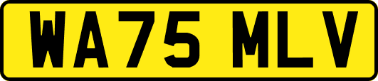 WA75MLV