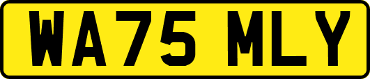 WA75MLY