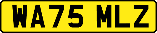 WA75MLZ