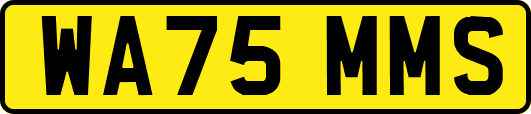 WA75MMS