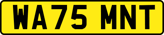 WA75MNT