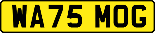 WA75MOG