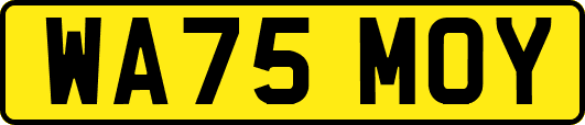 WA75MOY