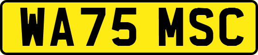 WA75MSC