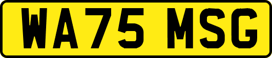 WA75MSG