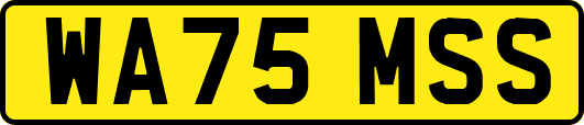 WA75MSS