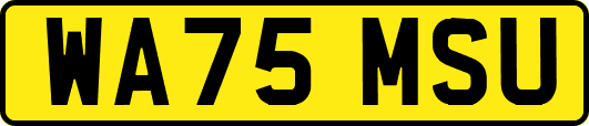 WA75MSU