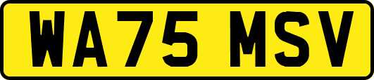 WA75MSV