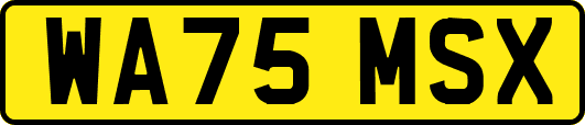 WA75MSX