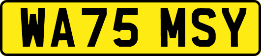 WA75MSY