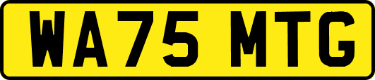 WA75MTG
