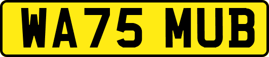 WA75MUB