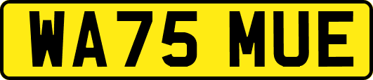 WA75MUE