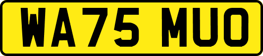 WA75MUO