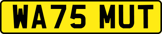 WA75MUT