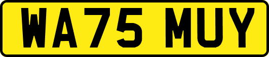 WA75MUY