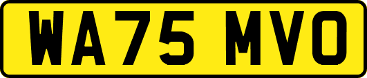 WA75MVO