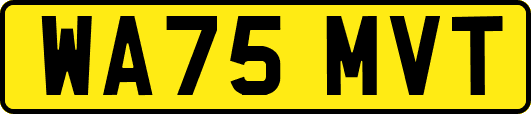 WA75MVT